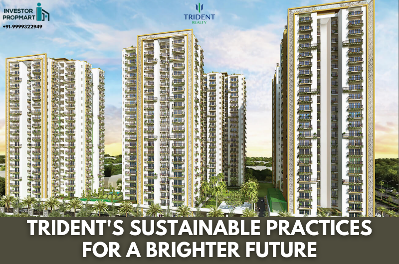 Trident’s Sustainable Practices For A Brighter Future