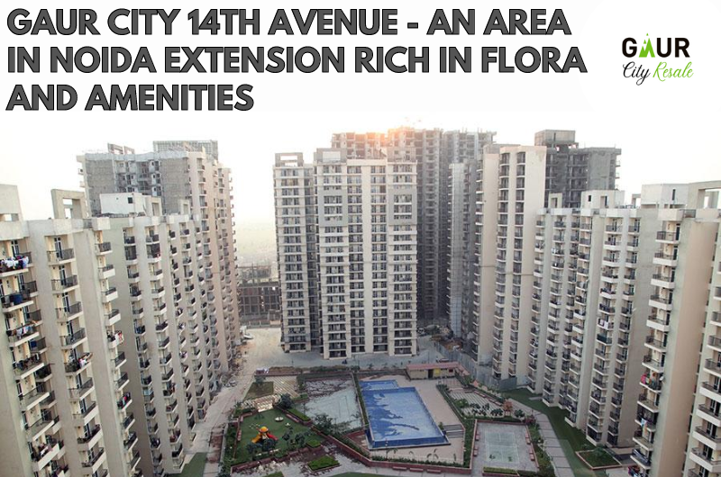 Gaur City 14th Avenue – An Area In Noida Extension Rich In Flora And Amenities
